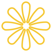 shape